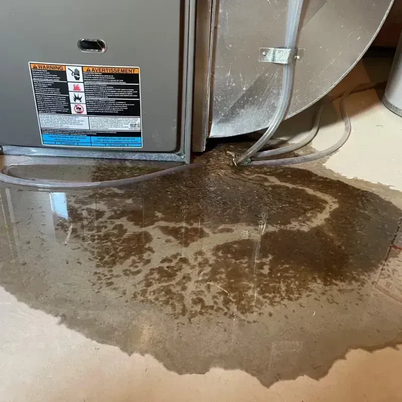 Appliance Leak Cleanup in Morrisville, VT